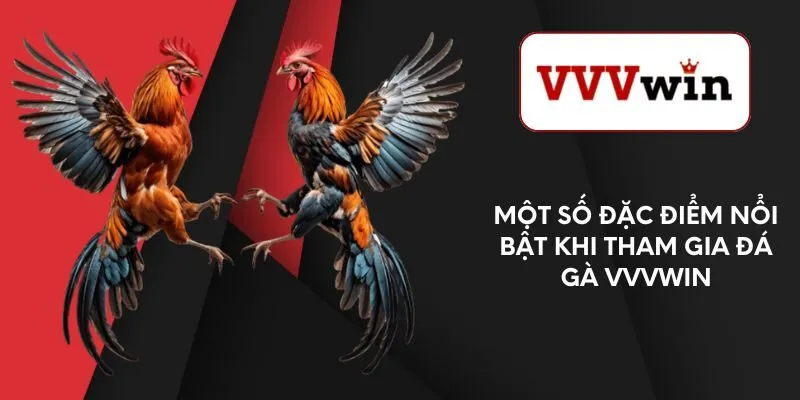 mot-so-dac-diem-noi-bat-khi-tham-gia-da-ga-vvvwin